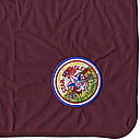 Camporee 2010 Neckerchief