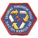 Webelos Day 1971